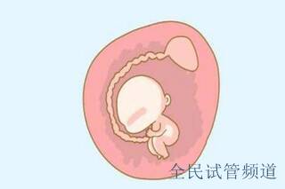 惠州三代试管婴儿助孕双胎和单胎费用一样？