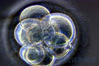 韶关三代试管婴儿助孕放俩胚胎行吗？