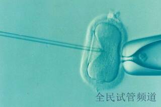 佛山做三代试管婴儿助孕流程