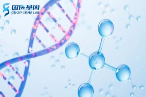 临清市亲子鉴定收费明细一览（2025新鉴定报价）