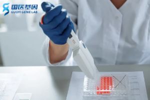 涟源亲子鉴定收费明细一览（2025新鉴定报价）