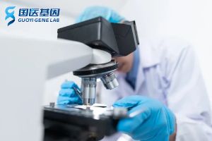 泰兴正规亲子鉴定机构全整理（附2025中心机构名单）