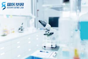 邓州正规亲子鉴定机构全整理（附2025中心机构名单）