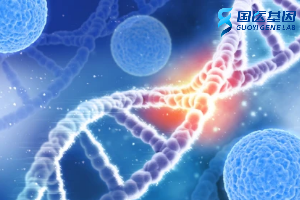 南昌落户亲子鉴定收费费用明细一览（附2025价费用表）
