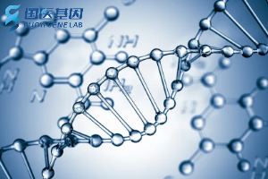 濮阳做亲子鉴定费用大概多少钱（濮阳最新亲子鉴定价格盘点）