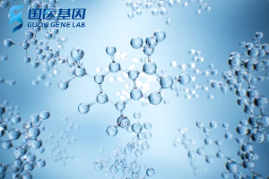 濮阳做亲子鉴定费用大概多少钱（濮阳最新亲子鉴定价格盘点）