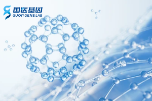 四会亲子鉴定价格明细表（附2025年费用区间）
