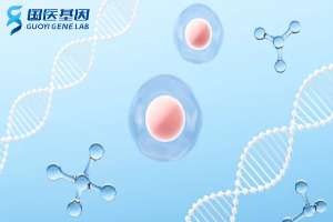 七星关区亲子鉴定大概需要多少钱一次（附2025费用标准）