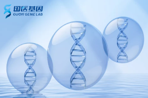 北京可以做亲子鉴定的中心合集（附2025年机构收费标准）
