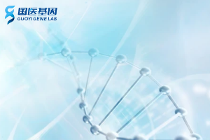 南阳正规亲子鉴定中心一览(附2025年鉴定)