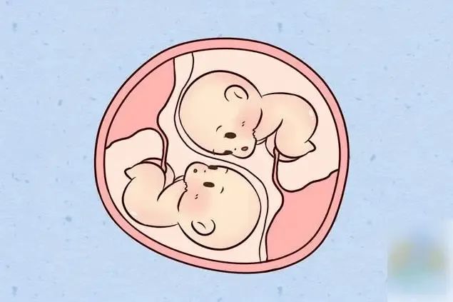 宁波第三代试管婴儿要多少钱？