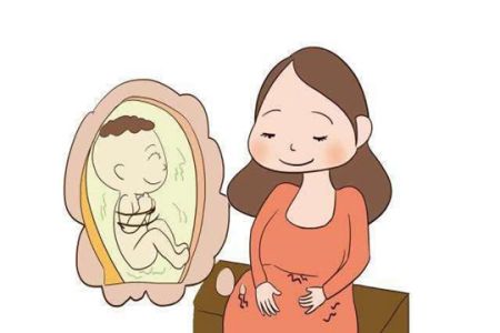 河北第三代试管婴儿助孕一次多少钱？