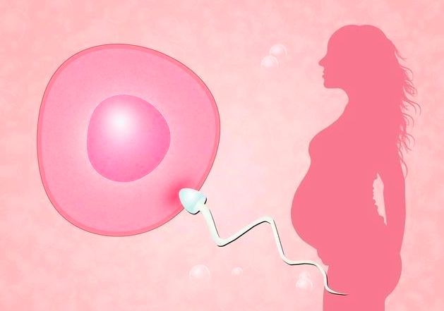 深圳试管婴儿哪里比较好？深圳试管婴儿医院在哪？