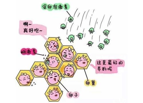 深圳做试管好还是广州做试管好？