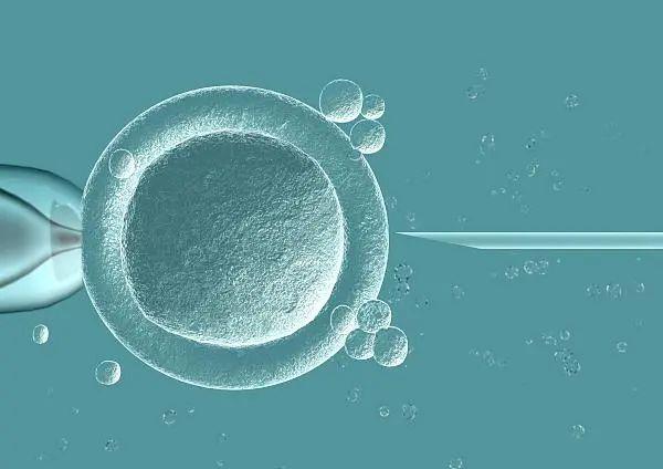 2024年枣庄市妇幼保健院试管成功率出炉。不要错过医院的详细介绍。