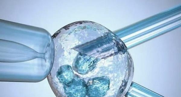 做试管多久排精一次健康？试管对精子的标准？