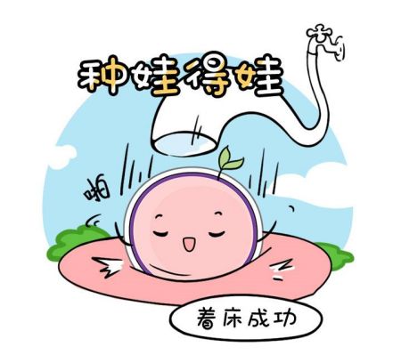 宣布第三代试管囊胚筛选的准确性