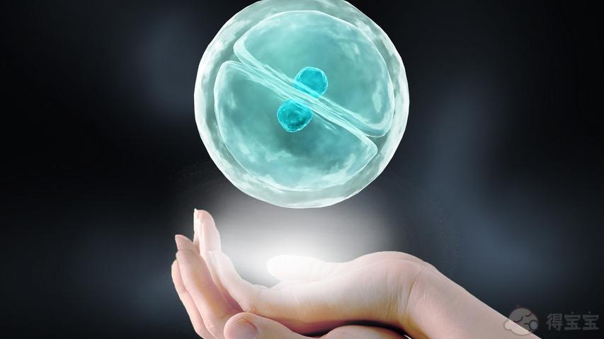 柬埔寨三代试管机构成功率排名，附试管机构排名。