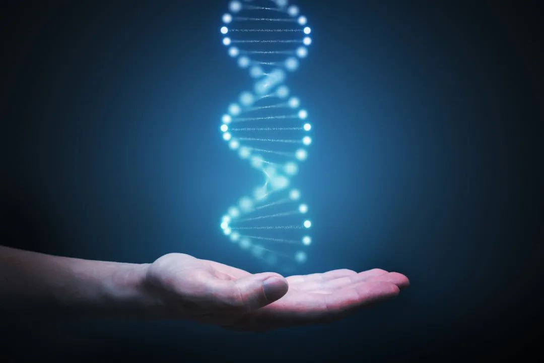 女性宫寒可以做试管婴儿吗？_宫寒影响试管移植着床吗？