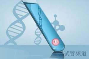 2025泰国知名助孕机构盘点，优质选择全汇总