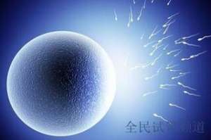 浙江三代试管费用多少，大概需要多少钱