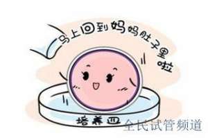 2025泰国试管私立医院推荐,优质助孕机构精选