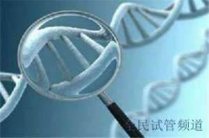 2025年三代试管费用曝光，私立机构报价惊人  私立试管费用上涨，2025年预算需谨慎