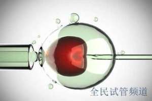 2025三代试管费用明细，最新价格公开