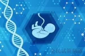 泰国试管费用透明化，安心选择放心治疗