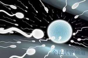 想生健康宝宝，泰国三代试管费用需知