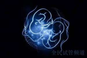 泰国试管费用全解析,助你选最佳方案  三代试管费用明细,轻松选合适方案