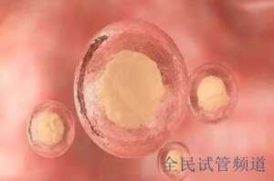 海外试管助孕公司正规吗，最新排名对比分析