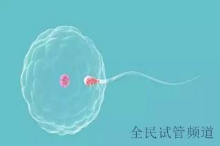 泰国三代试管婴儿基因检测优势详解！