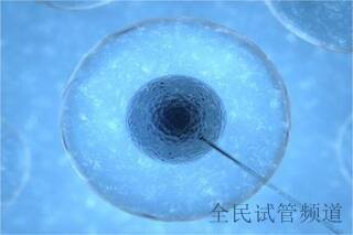 泰国做试管的成功率高吗”更新“三代试管的优势和缺点是啥