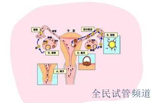 北京三代试管医院排名，精选优质机构推荐