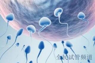 2025泰国做试管婴儿第三代多少钱?
