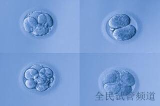 北京第三代试管婴儿一般多长时间
