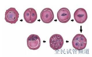 天津助孕机构前十名，哪家口碑比较好