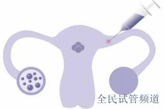 泰国试管医院排名前六，优质选择助您好孕