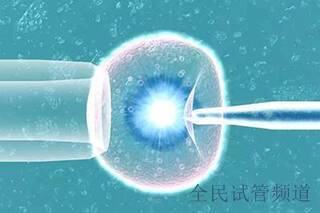 三代试管费用多少,总花费详解