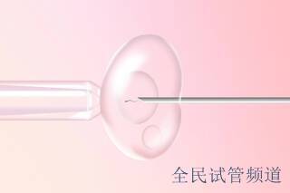 泰国试管医院挑选指南，注意事项全解析
