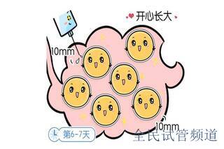 2025泰国三代试管婴儿的费用是多少?