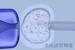 2025哈萨克斯坦做三代试管婴儿大概要多少钱?