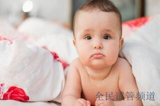 吉尔吉斯斯坦试管费用波动分析,未来价格走势预测