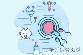泰国试管私人医院选择指南,专业推荐与注意事项