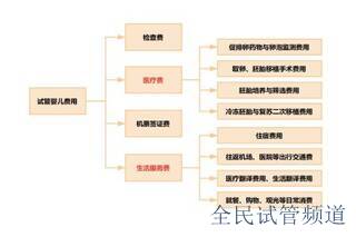 泰国试管医院排名前七强,优质选择助您好孕