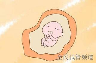 张家口公立医院试管婴儿价格多少一次