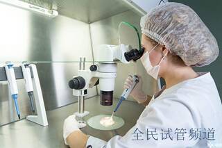 2025郑州试管三代费用预估，全套花费明细解析