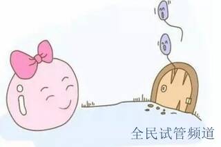 泰国试管费用解析,预算与成功率关系揭秘