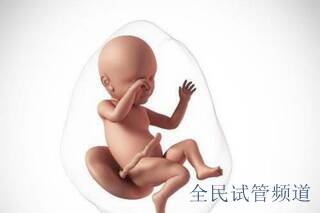泰国三代试管婴儿的费用是多少?附具体报价!